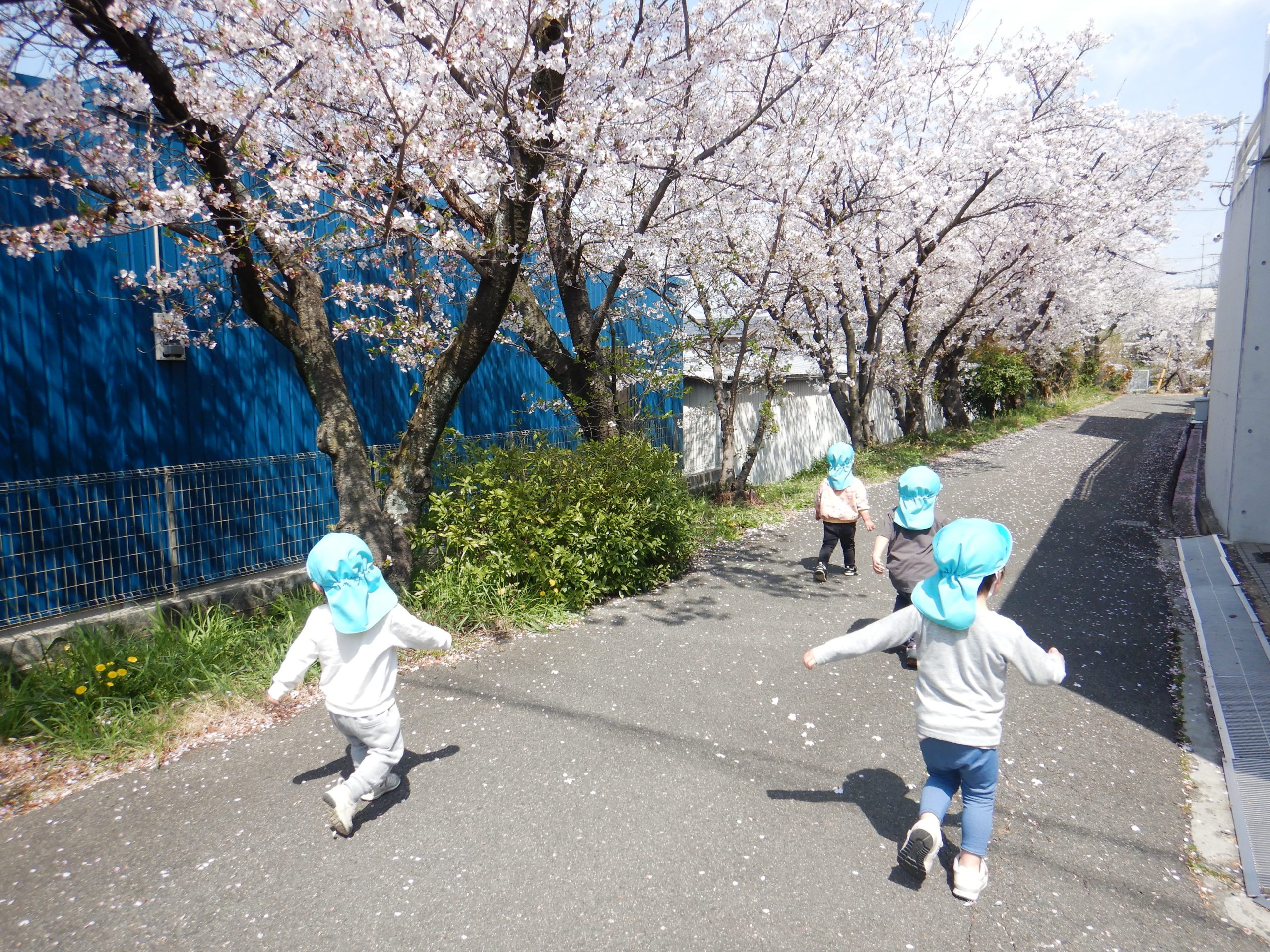お花見散歩